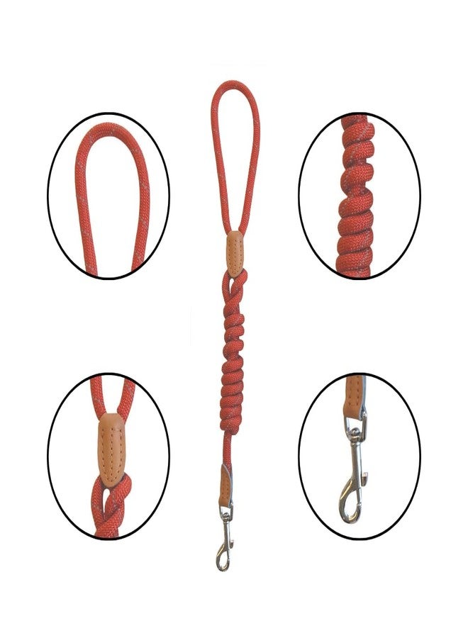 أم-بيتس طوق كلاب M-PETS Reflecto بتصميم عاكس عالي الوضوح، طوق قوي للحيوانات الأليفة مناسب للمشي الليلي والتدريب والركض والأنشطة الخارجية، متين، مزود بقفل أمان، ألوان متنوعة (عبوة من قطعة واحدة) - Image 3